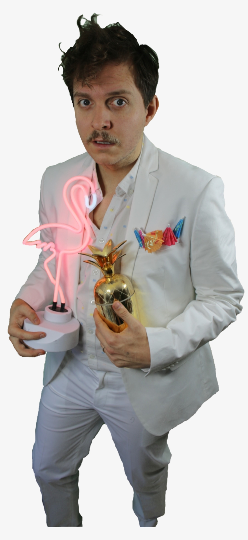 Joey - Fiddler Crab, transparent png download