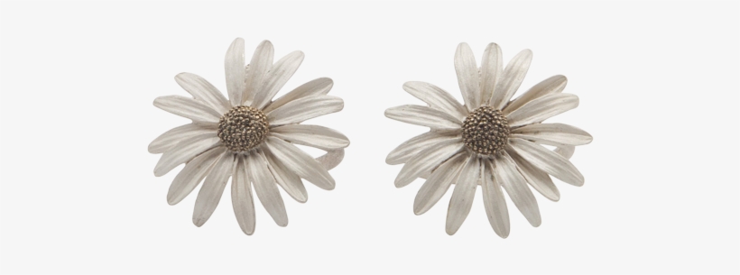 Daisy - African Daisy, transparent png download