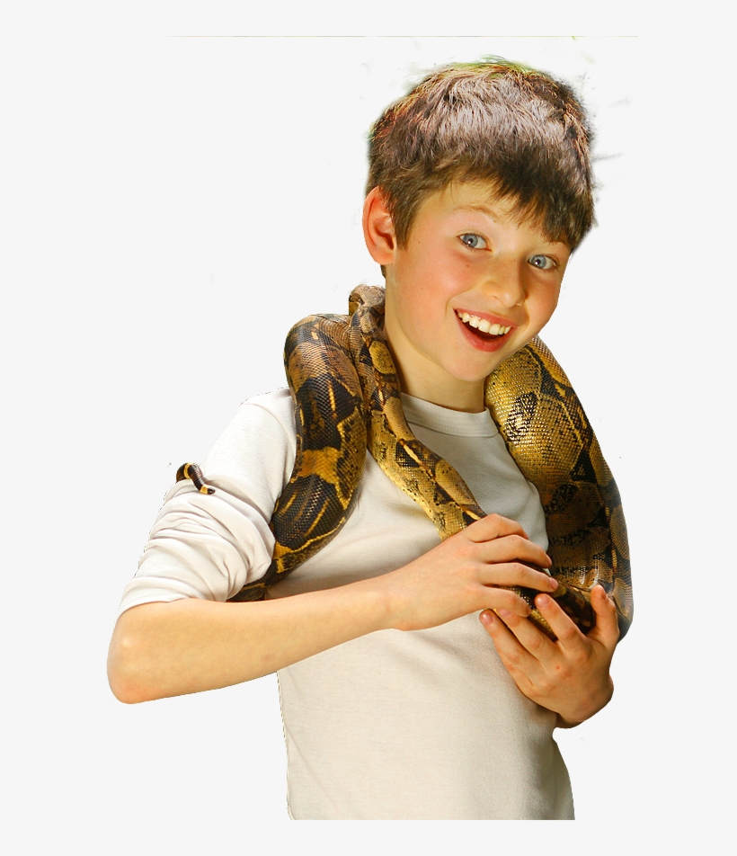 Bg Info Nino - Rock Python, transparent png download