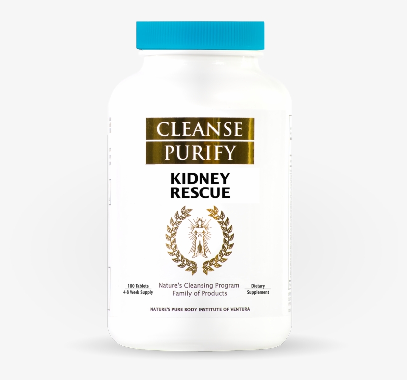 Kidney Rescue - Kidney, transparent png download