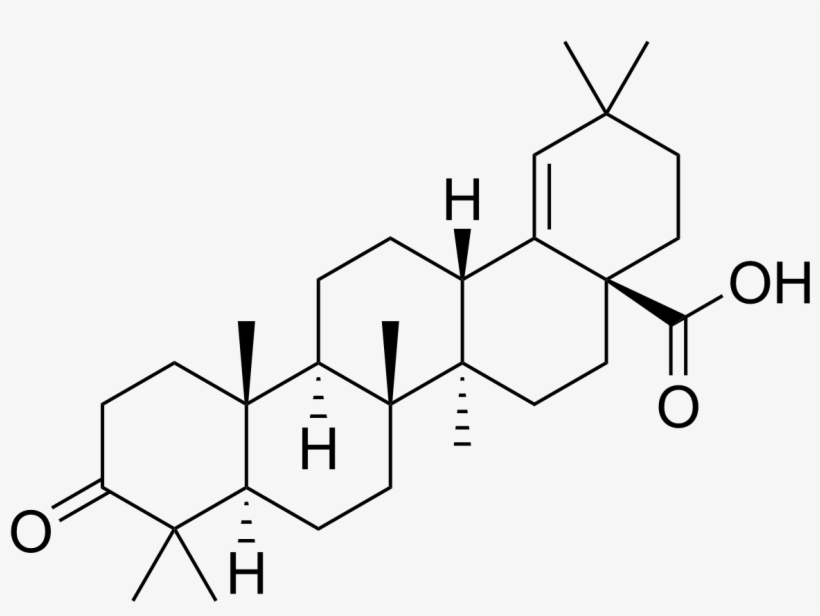 Maslinic Acid, transparent png download