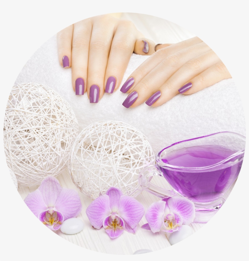 Moth Orchid, transparent png download