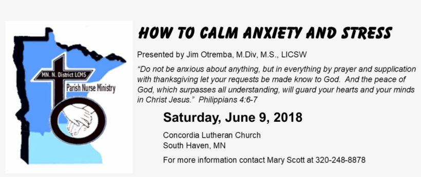 Hfdlkjfalfkja - King Penguin, transparent png download