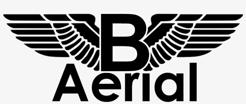 B-aerial Llc - Eagle Wings Logo Png, transparent png download