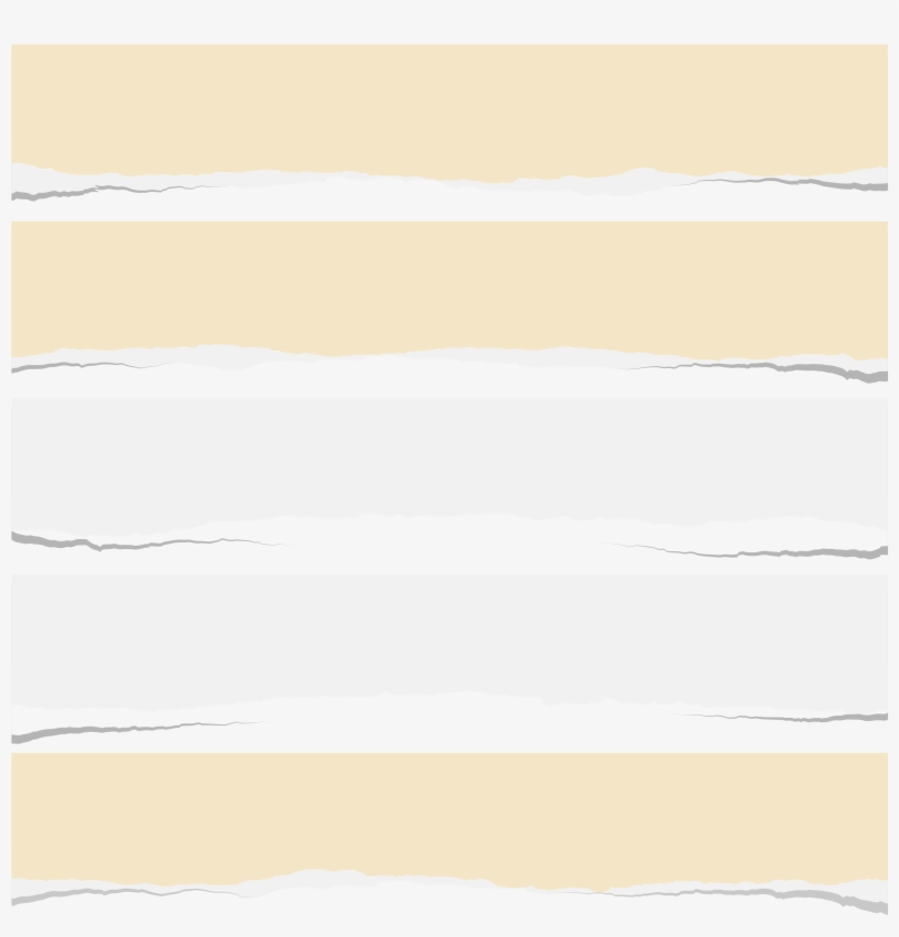 2625 X 2586 21 0 - Che Vitamine Contiene Il Kiwi, transparent png download