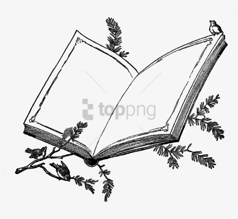 Free Png Book Frame Design Png Image With Transparent - Frame Design Book Png, transparent png download