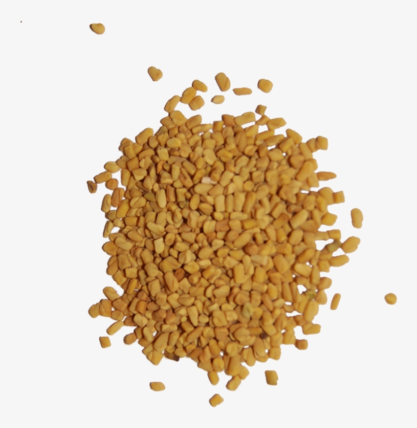 Fenugreek Seed - Fenugreek Seeds Png, transparent png download