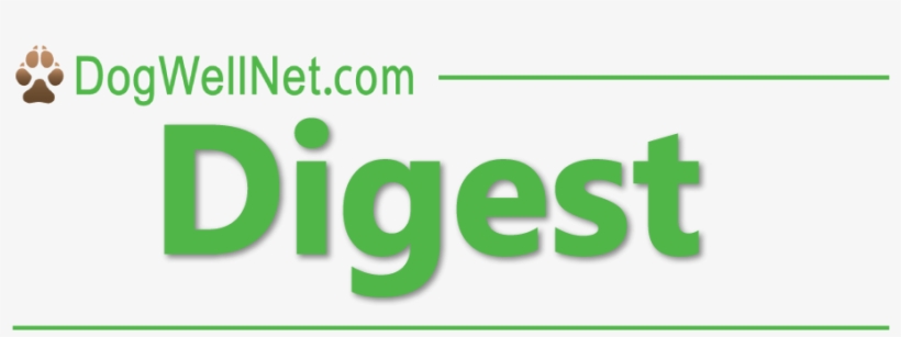 Issue - Brainforest Gabon, transparent png download