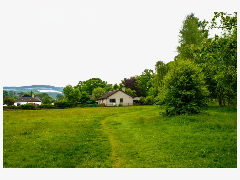 Suburb Lawn Grass Green Landscape Free Hq Image - Farm, transparent png download