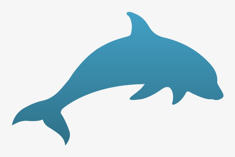 Common Bottlenose Dolphin, transparent png download