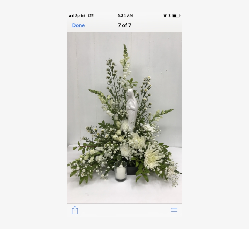 Madonna Of Light - Bouquet, transparent png download