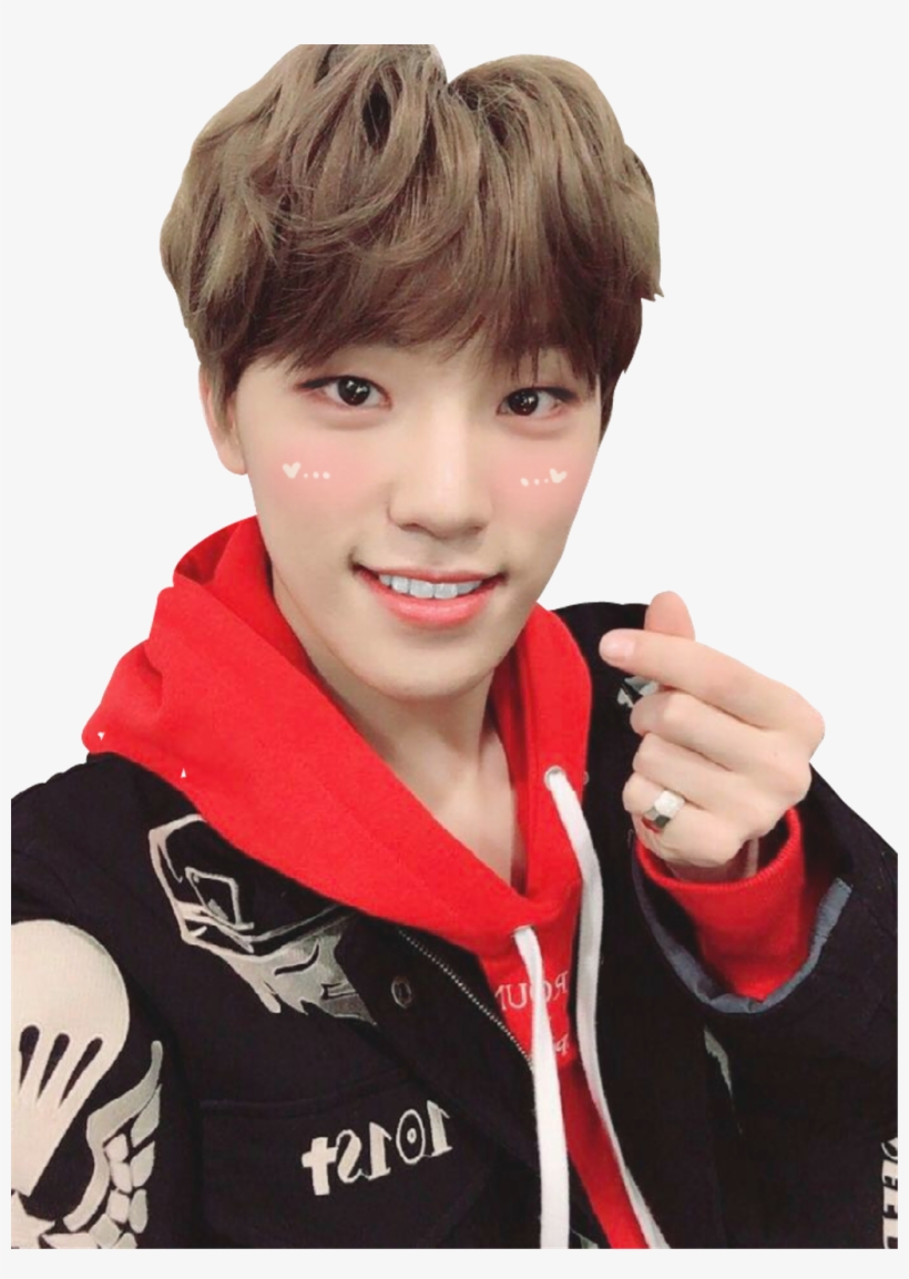 #leejungchan #seventeen #pledis17 #kpop #dino #maknae - Seventeen Dino Red, transparent png download