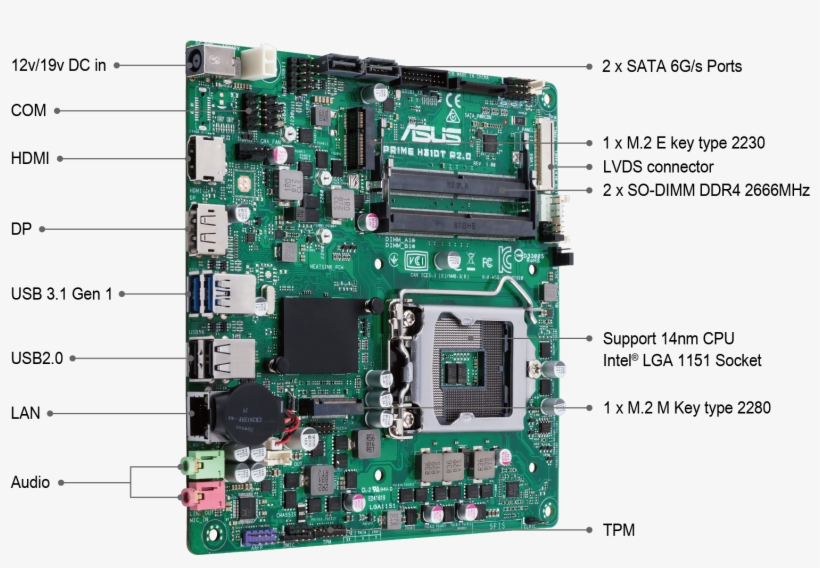 Internationally Certified Business Motherboard - Asus Prime H310t Csm, transparent png download