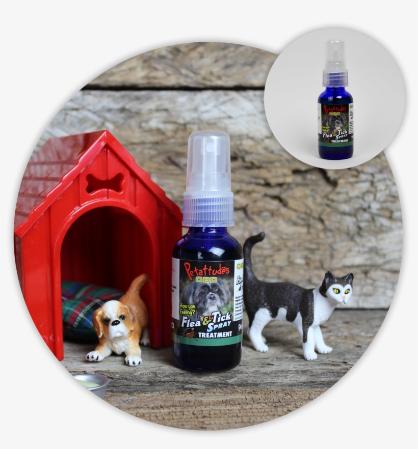 Flea & Tick Spray - Beagle, transparent png download