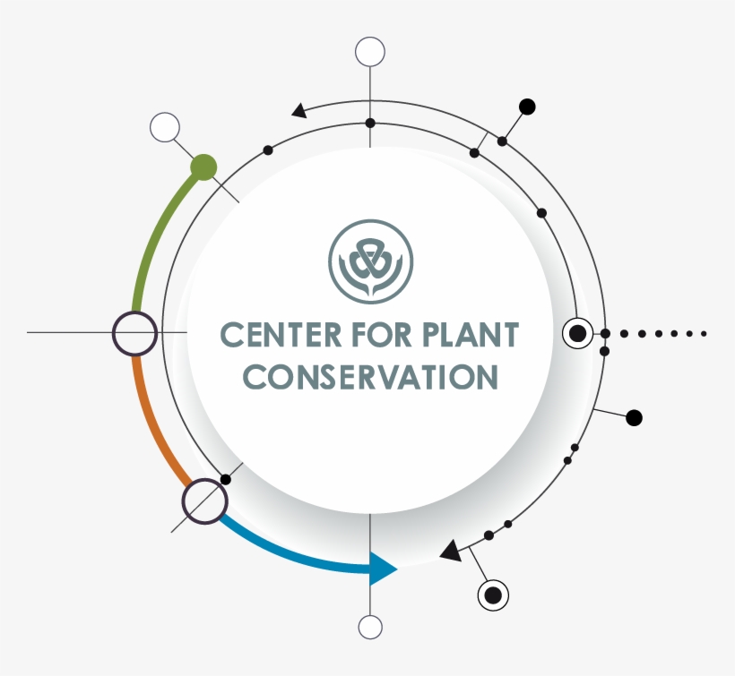 Nucleus - Circle, transparent png download