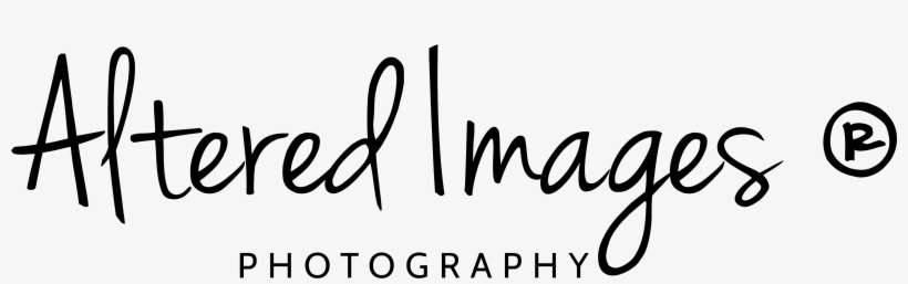 Home » All Photographs-photos - Calligraphy, transparent png download