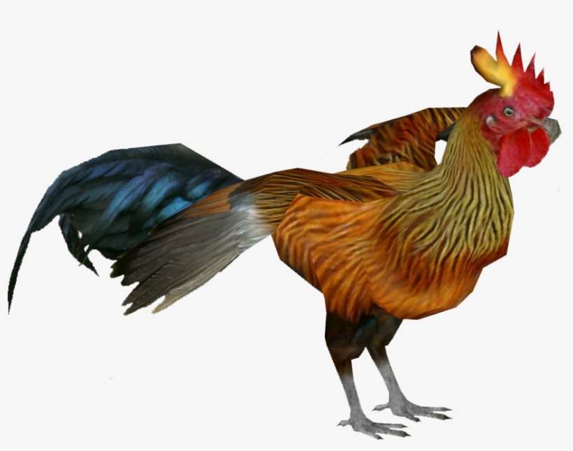 20 Tattoo Png Cb Background Pictures And Ideas On Meta - Sri Lankan Junglefowl Png, transparent png download