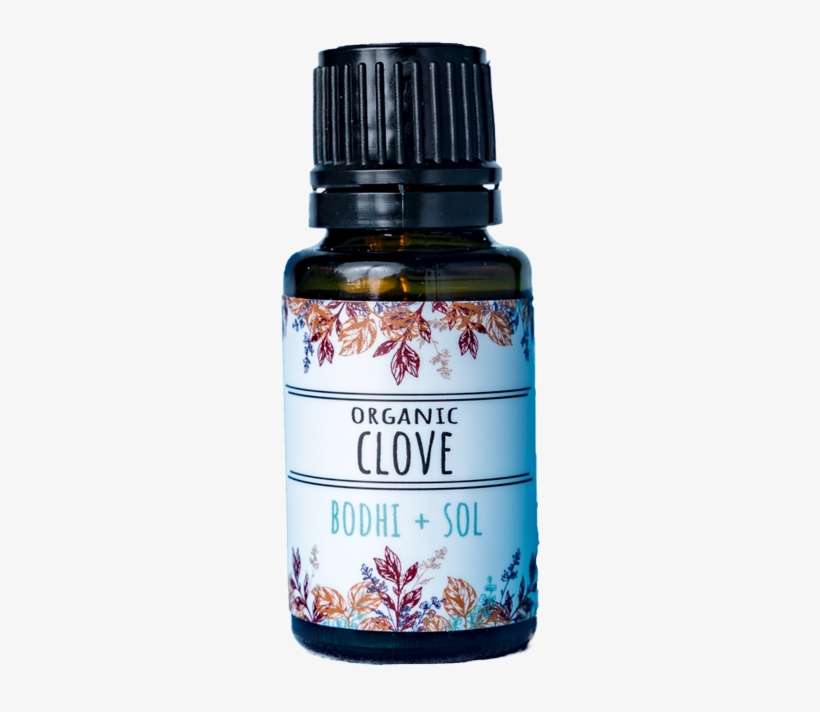 Blossom, transparent png download