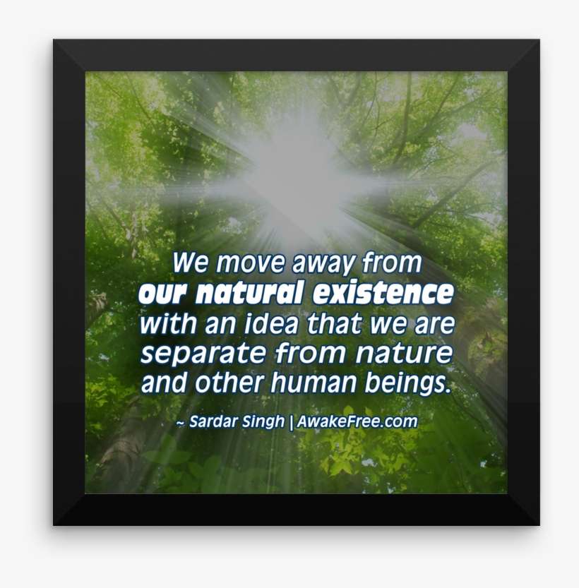 Our Natural Existence An Inspiring Framed Poster Ready - Grass, transparent png download