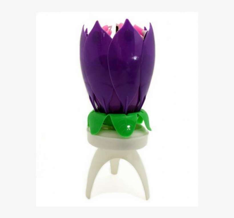 Medium Size Of Happy Birthday Lotus Candle Rotating - Tulip, transparent png download
