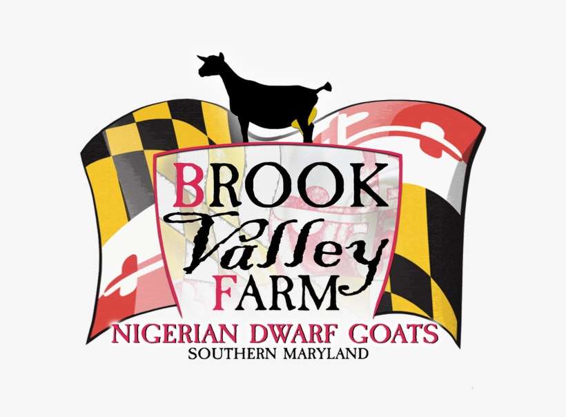 Raising Quality, Adga-registered Nigerian Dwarf Goats - Poster, transparent png download