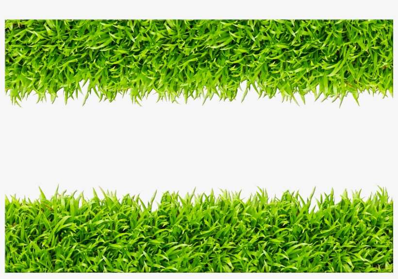Steve's Rental & Service - Green Grass Background Free, transparent png download