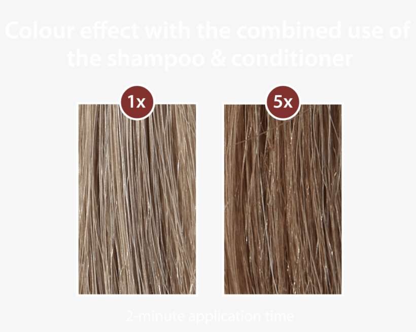 The Plantur 39 Colour Effect - Plantur 39 Brown, transparent png download