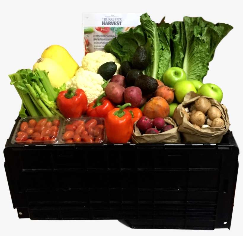 2-5 Person Box - Broccoli, transparent png download