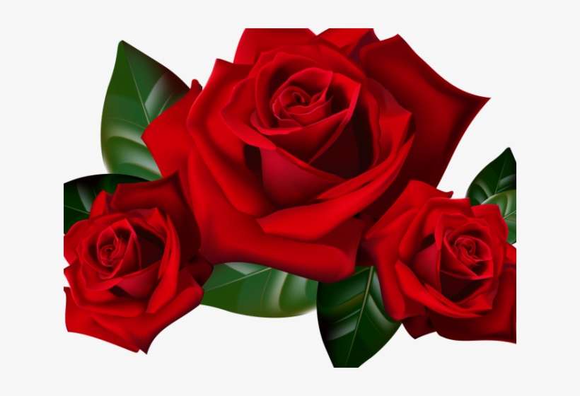 Red Flower Clipart Png Format - Red Rose Transparent Background, transparent png download