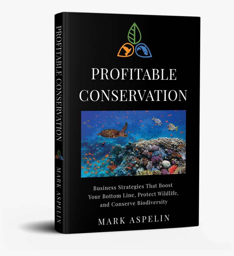 After Chipping Away On It For Just Under Two Years, - Colorado Spruce, transparent png download