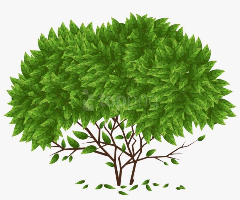 Free Png Tree Png Images Transparent - Knowledge Should Make You Humble Not Arrogant, transparent png download