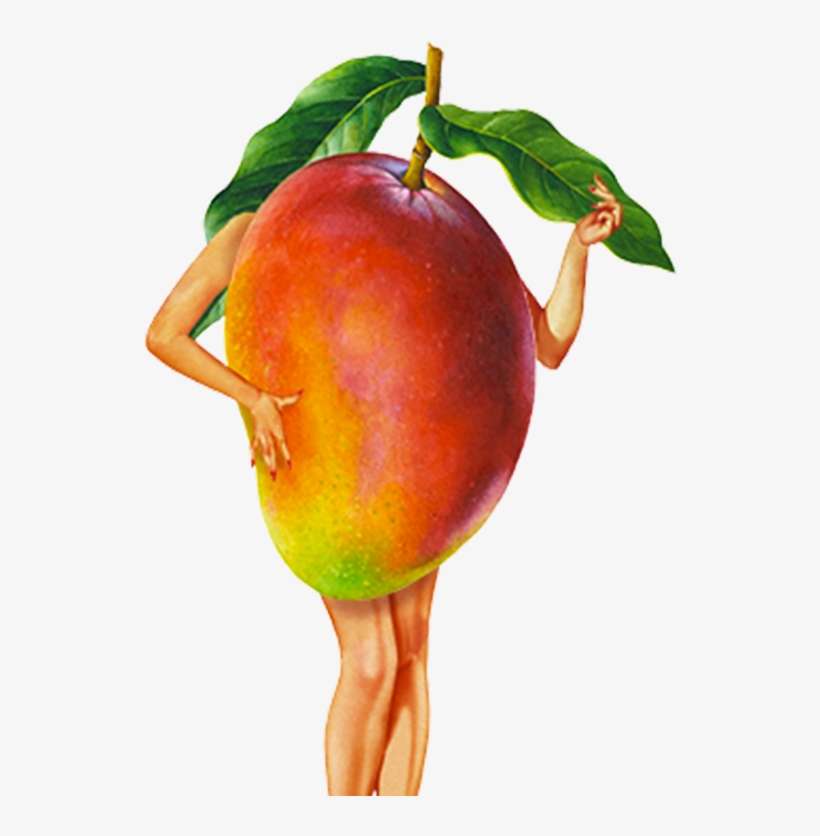 Mango Ile Ilgili Görsel Sonucu - Mango Fandango, transparent png download