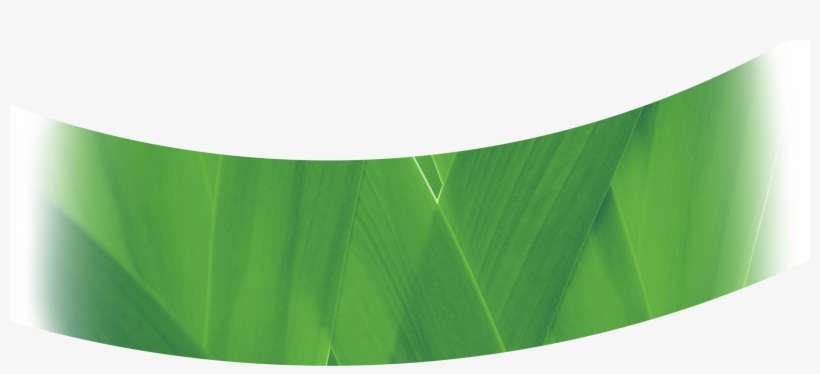 Today, We Are Empowering Smallholders To - Table, transparent png download