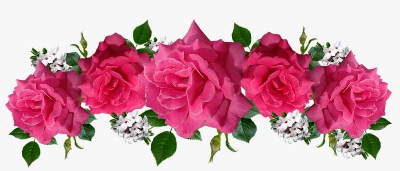 Roses Pink Flowers Daphne Arrangement Garden - Garden Roses, transparent png download