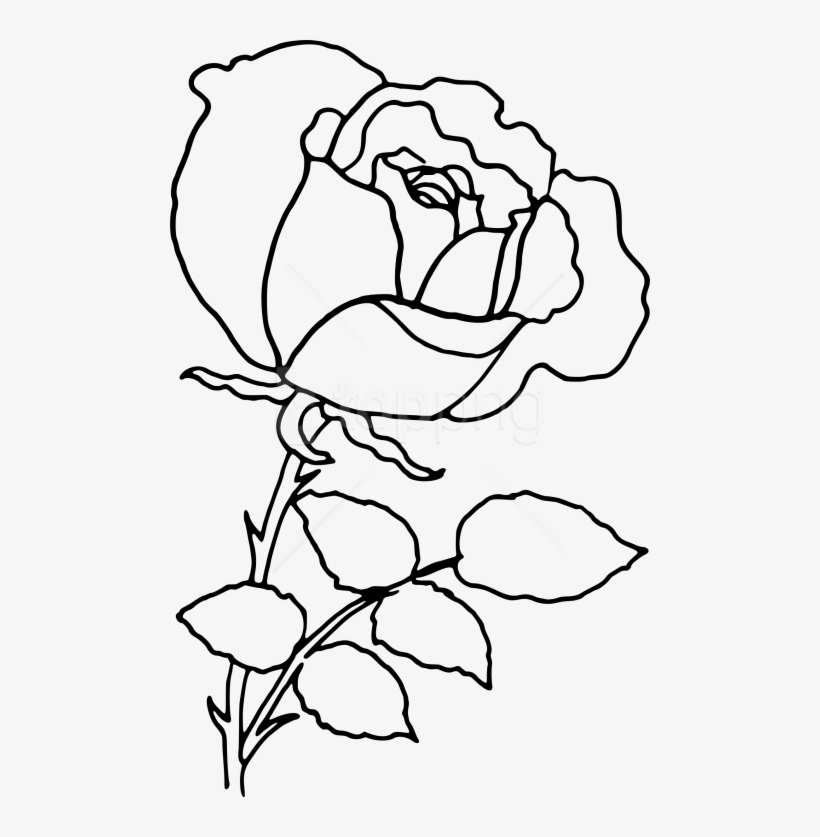 Free Png Download Png Rose Outline S Clipart Png Photo - Rose Outline Drawing Png, transparent png download