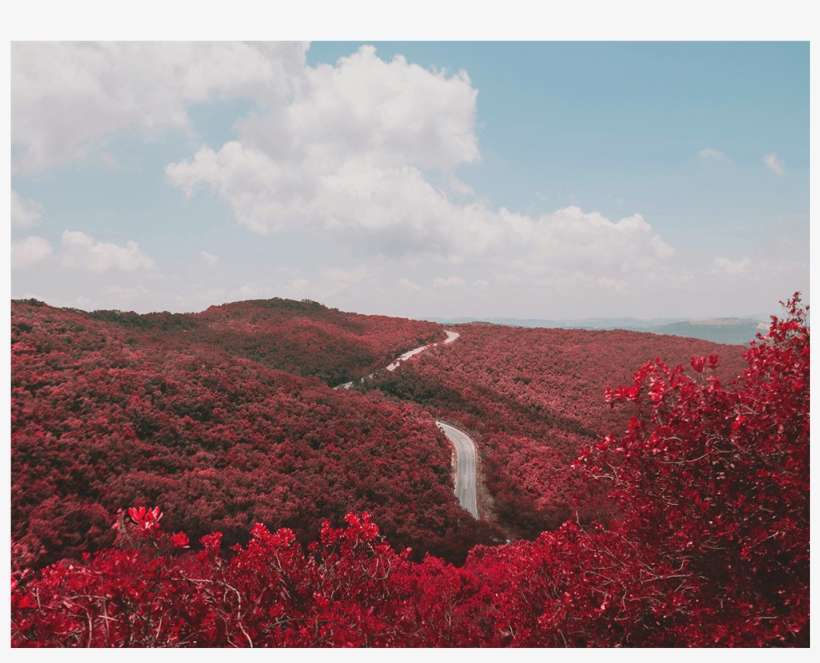 Intrepid Landscapes - Let Everything Has Breath Praise The Lord, transparent png download