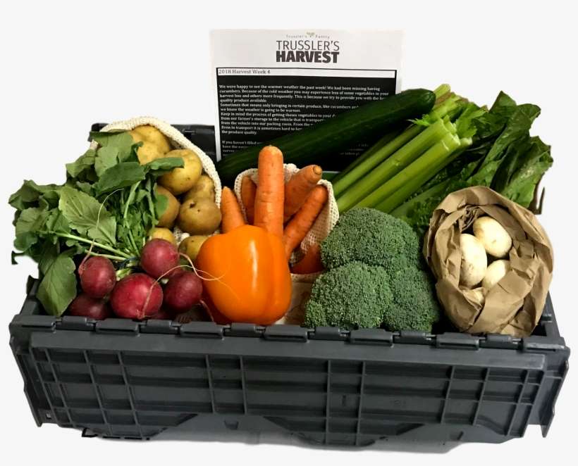 Single Person - Root Vegetable, transparent png download