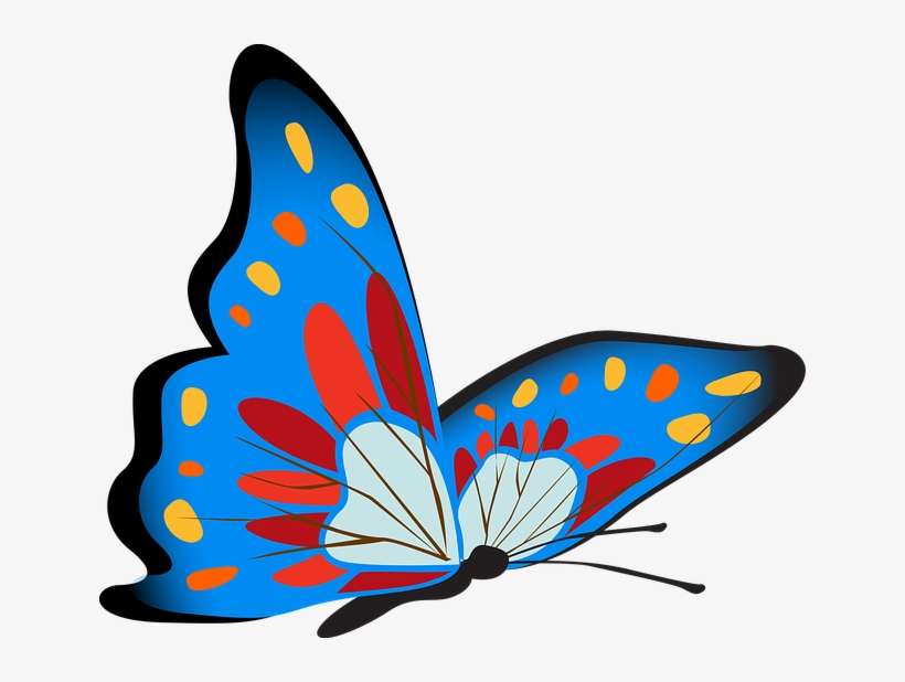 Kupu Kupu Cantik Png, transparent png download