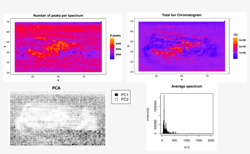 Quality Report - Diagram, transparent png download