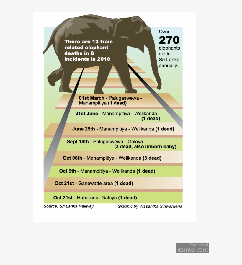 Twelve Elephants Were Killed By Trains This Year, Nine - Indian Elephant, transparent png download