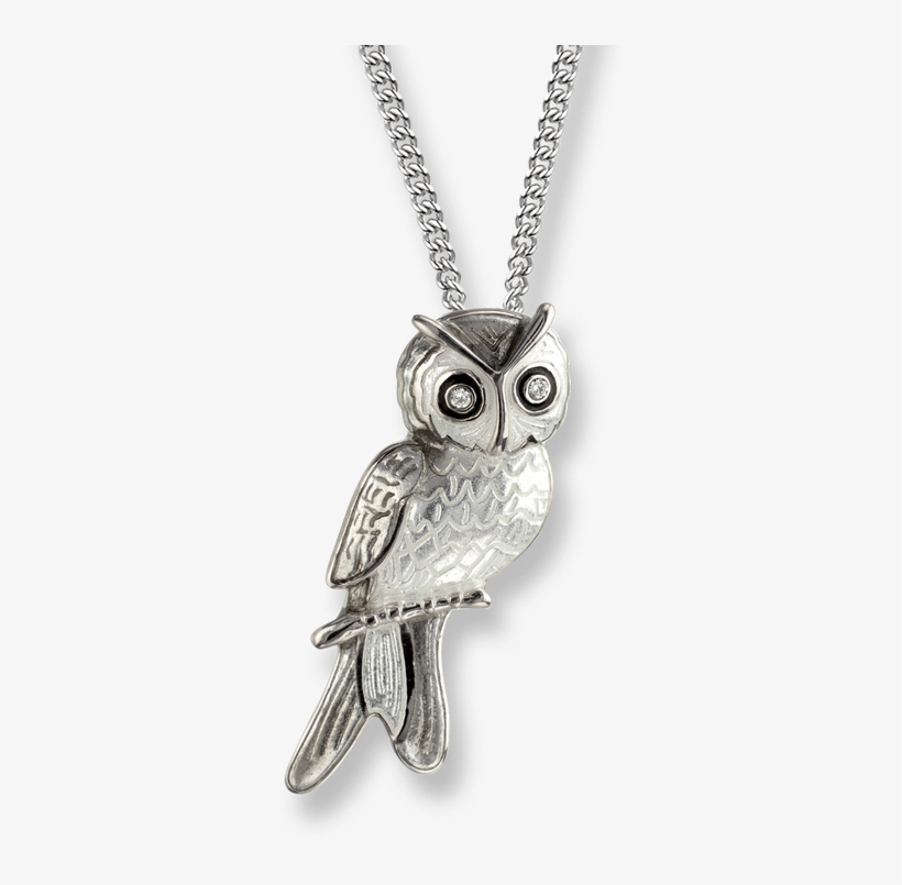 Stock - Owl Pendant Transparent Background, transparent png download