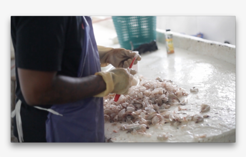 Screen Shot 2016 08 25 At, transparent png download