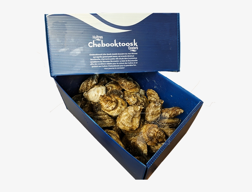 Product Information Chebooktoosk Oyster - Chebooktoosk Oysters, transparent png download