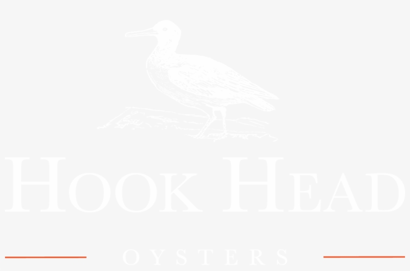 Hook Head Oysters - Pink Is My Favorite Color, transparent png download
