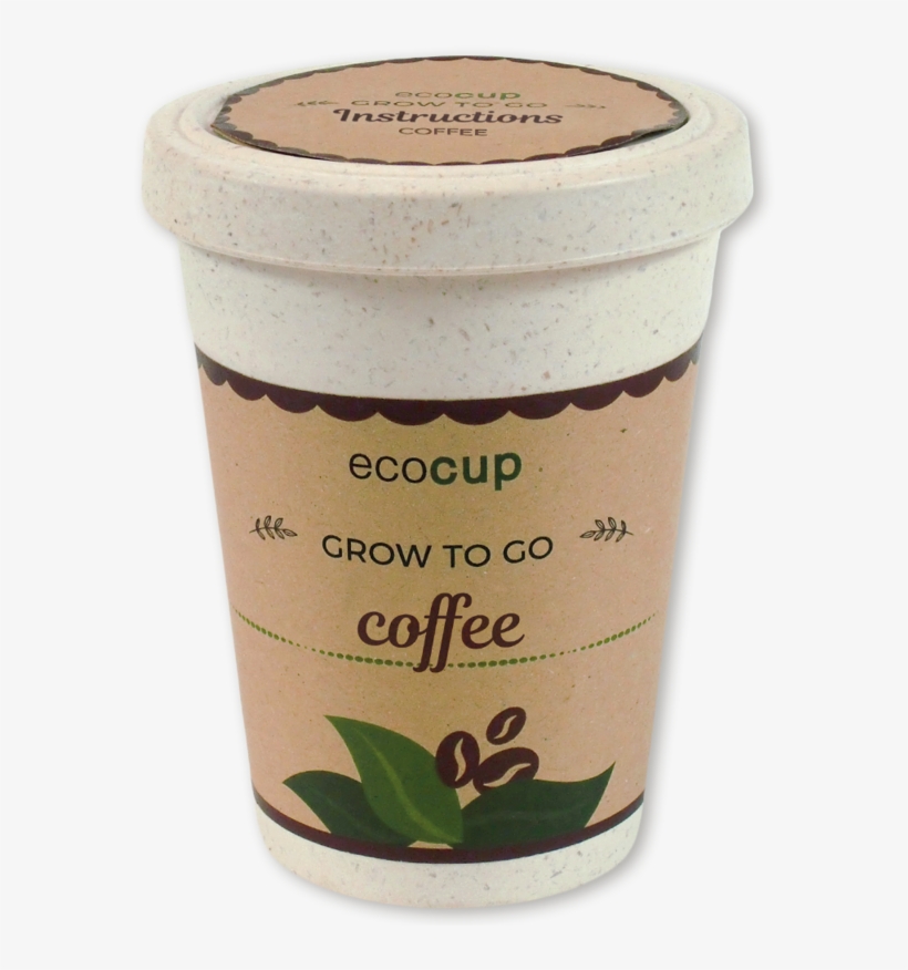 Rosemary, transparent png download