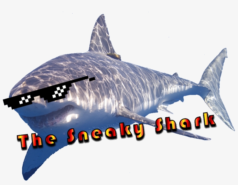 Finish Him - Raie De La Méditerranée, transparent png download