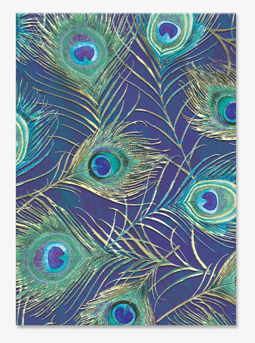 Peacock Feather Pouch Note Cards - Motif, transparent png download