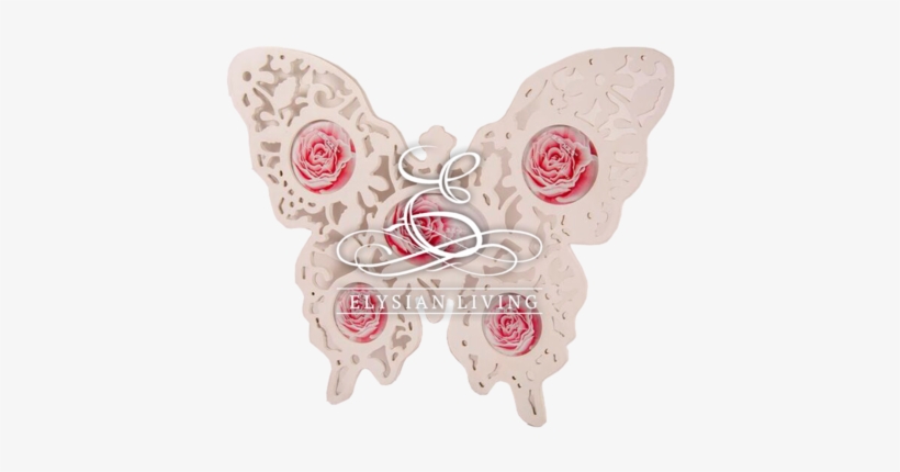 Butterfly Family Picture Frame - Butterfly, transparent png download