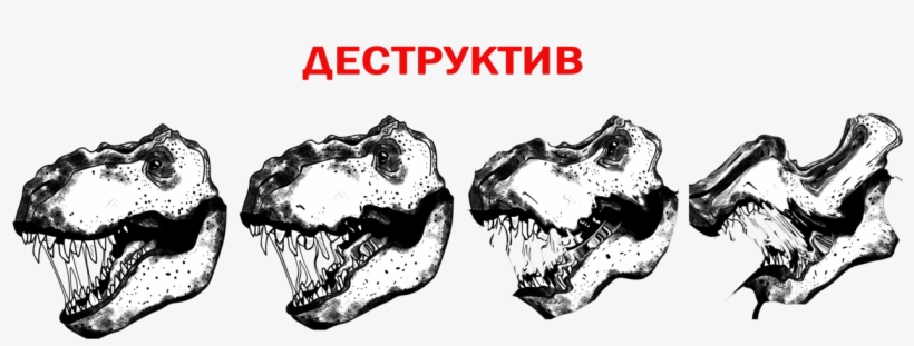 Destruction - Skull, transparent png download