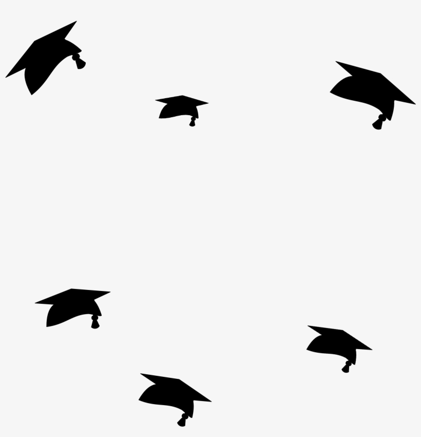 The Only Way To Commemorate Your Graduation - Crow-like Bird, transparent png download